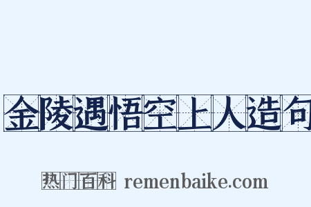 金陵遇悟空上人造句是什么意思的图片